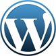 Matt Mullenweg, Co-Founder of WordPress